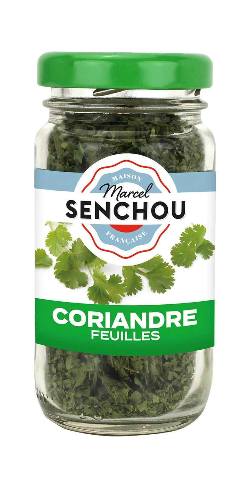 senchou-herbes-coriandre-feuilles-s-ch-es-8g-florale image 1